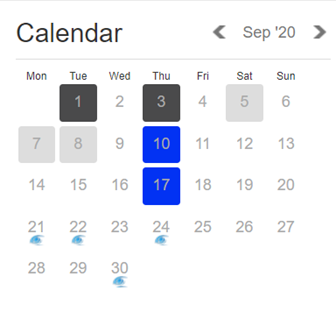 SwimtagCalendar